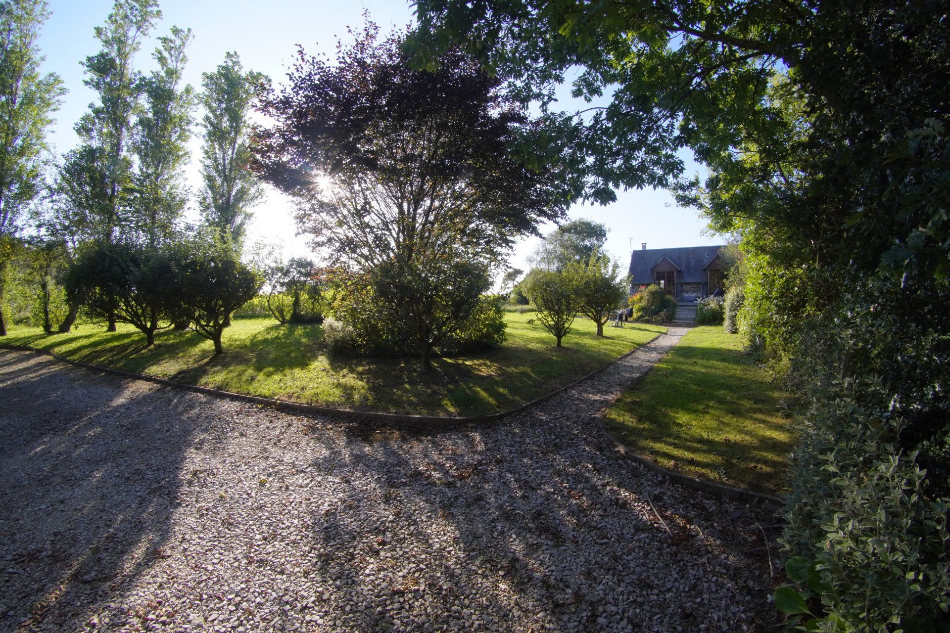Allée et verger